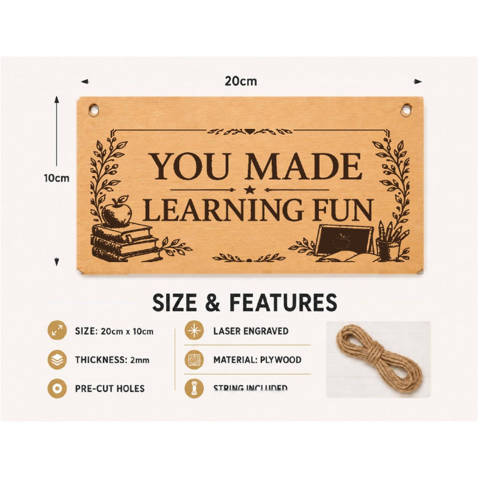 You Made Learning Fun plaque showing 20 x 10 cm size and product features