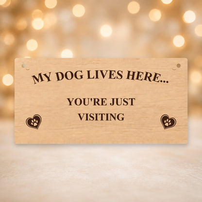 838, My Dog Lives Here - You're Just Visiting - V12