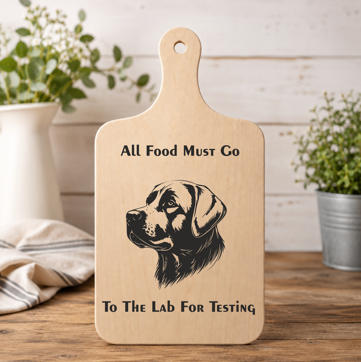 Laser Engraved “All Food Must Be Sent To The Lab For Testing” Wall Plaque 30x16cm