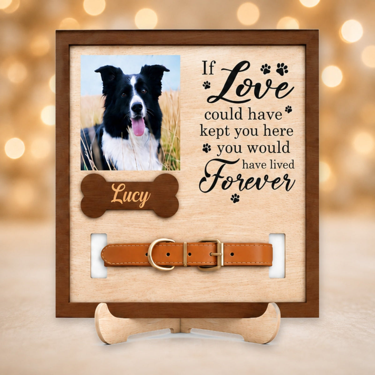 Lucy memorial plaque