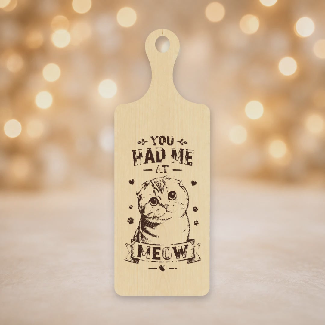 VIDEO - Funny Cat Lover Paddle